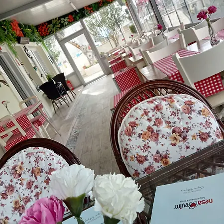 Nesa Apartmanhotel Kusadası